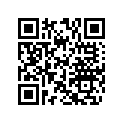 506130500 Bras Direct.dr.*arm-steer.rh