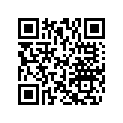 506143800 Renfort Ski *reinf-ski