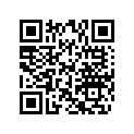 506148100 WASHER