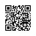 506148300 Plaque *plate