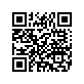 5061583 PASSENGERFOOTRESTSUPPOR