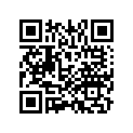 50652-MBZ-K00 WEIGHT, R. STEP