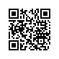 507032306 HAIR PIN