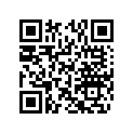 507032551 Banjo Bolt
