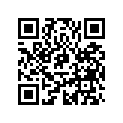 508000661 Flute