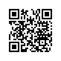 508000745 Flute