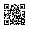 509-24724-00-00 Прокладка Амортизирующая