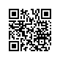 510004419 Grip