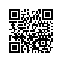 51037008