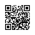 510441063