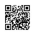 510491091