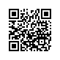 510491131