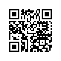 510A3300 ハンゲツキ-