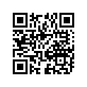 51110-43430-000 Внутренняя трубка