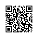 51117-41211 O RING