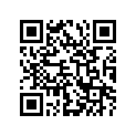 51121-03B30 BUSH,SLIDE