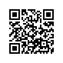 51133-28E00 ..ring, Stopper