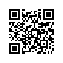 51147-31011
