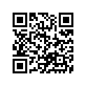 51152-38B00 BUSH, GUIDE