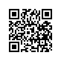 51156-49440 Шайба