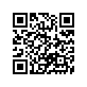 51167-13A00 .metal, Slide