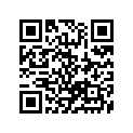 51174-27C40 O RING
