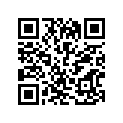 51181-31030 .o Ring
