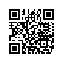 5118500 PASSENGERGRABSTRAP