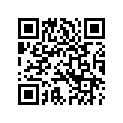 5119082 GRABSTRAP