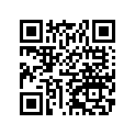 511A0520 Key