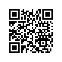 512061333 Washer