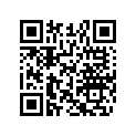 513034007 Socket