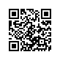 51311-49000-291