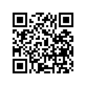 51311-49400-291