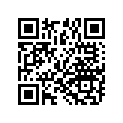 5140870-626 SUPPORT-PASS,RH,JTBLK