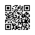51432-49200-291