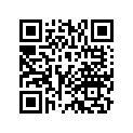 51458-K20-901 O-RING