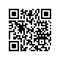 515175568 Male Terminal