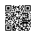 515176224 Terminal Support