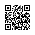 51540-49000-291