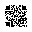 516002748 Decal.amort. *decal-shock (x )