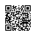 516004205 Decal Rev Xp *decal Rev Xp