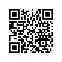 516004534 SHOCK DECAL