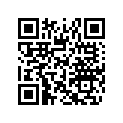 516004755 Runner Decal