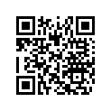 516004762 RH SIDE DECAL