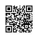 516005873