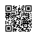 516010651 BRP Logo 13 MM
