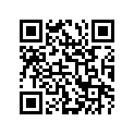 51621-02B00 .race