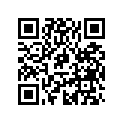 517191700 SPACER