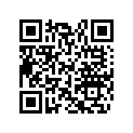 517243902 Pare-chocs Av. *bumper-front